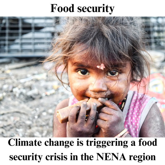 Climate crisis - a NENA region policy paper
