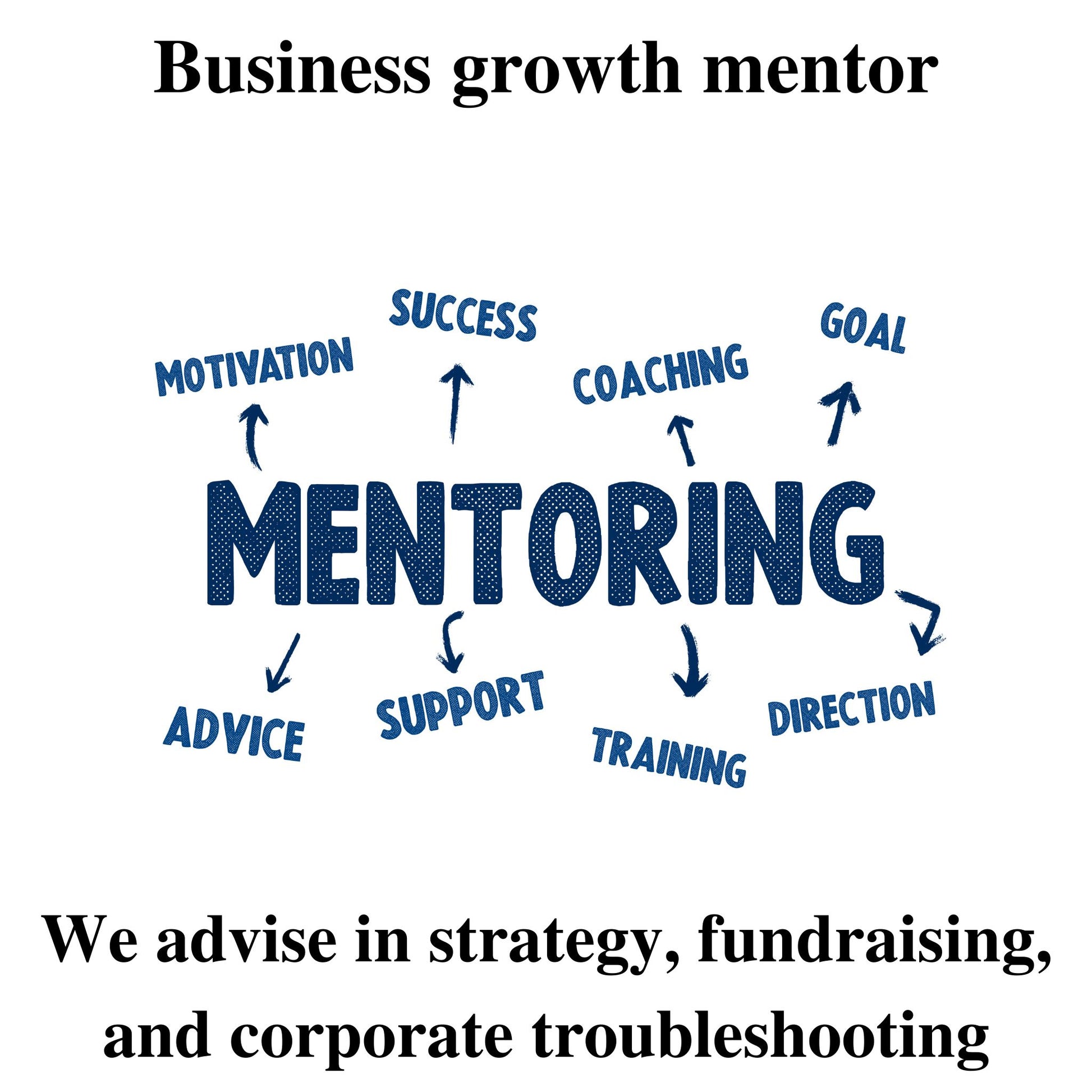 We will act as your business growth mentor.